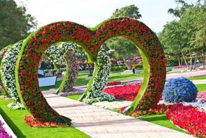 حديقة عامة وفيها مسار عليه مجسمات على شكل قلوب ومغطاه بالزهور بحيث يمكن للزوار المرور من تحتها